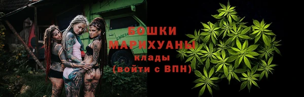 ГАЛЛЮЦИНОГЕННЫЕ ГРИБЫ Магас