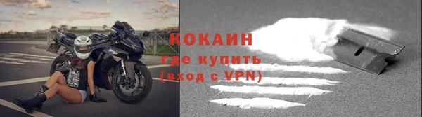 ГАЛЛЮЦИНОГЕННЫЕ ГРИБЫ Магас