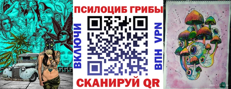 Купить где  Новопавловск  Галлюциногенные грибы Cubensis 